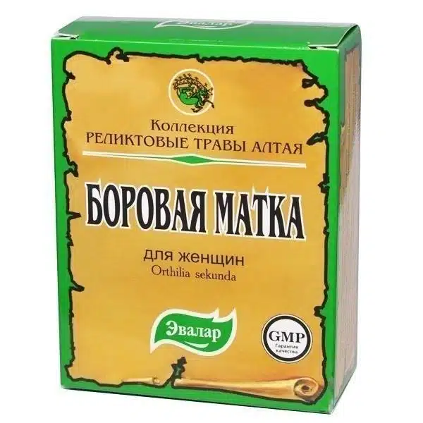 Боровая матка (Ортилия однобокая)