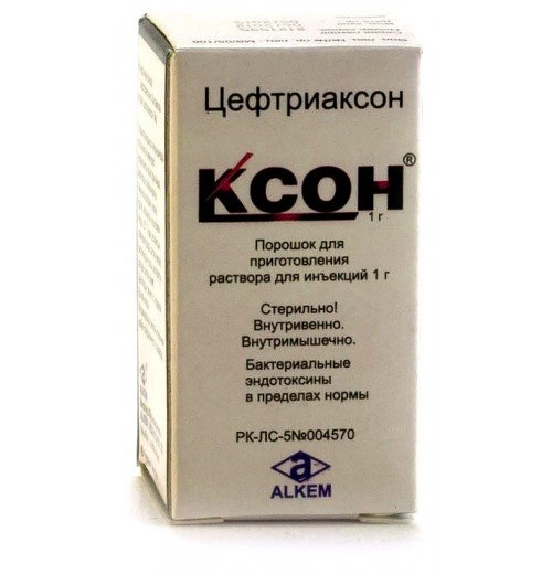 Ксон
