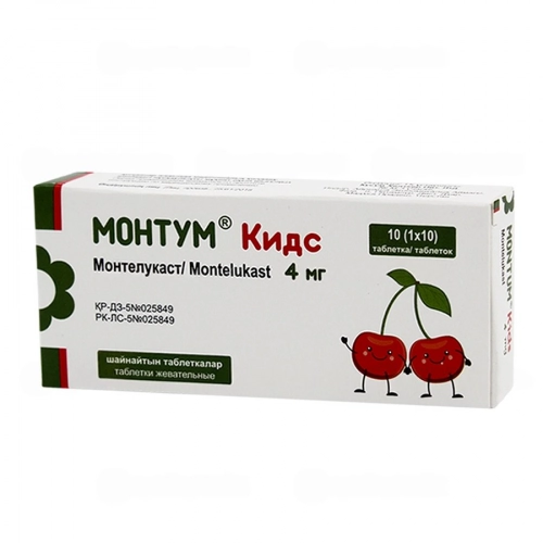 Монтум Кидс