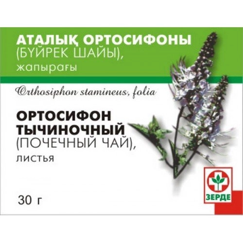 Ортосифон Почечный чай