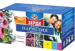Пармелия с эхинацеей