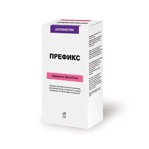 Префикс