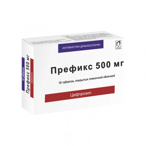 Префикс