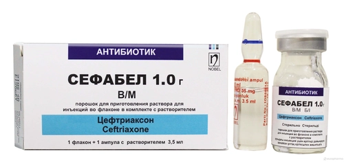 Сефабел