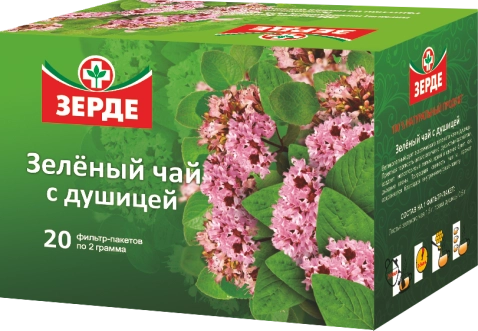 Зеленый чай с душицей