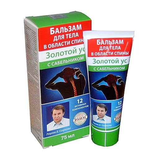 Золотой ус с сабельником