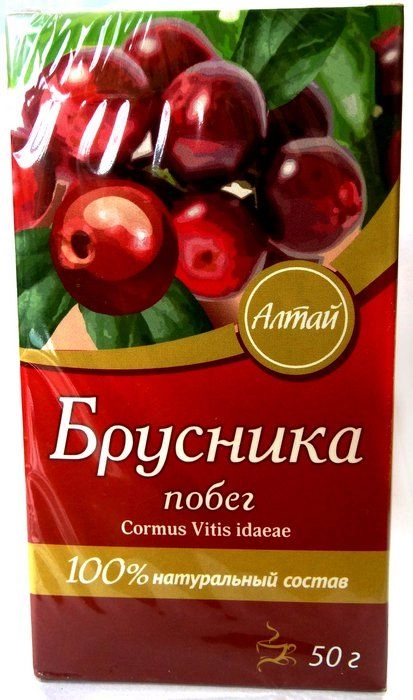 Брусника побег Алтай