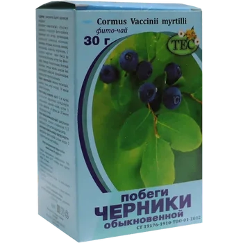 Черника побеги