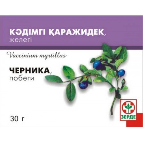 Черника побеги